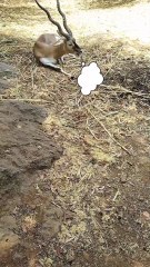 Do you also like taking selfies? 😂