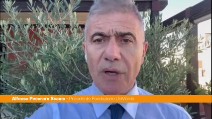 Pecoraro Scanio "Italia sia Paese guida nel Food for Peace"