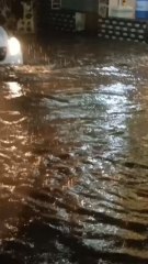 ಎಲೆಕ್ಟ್ರಾನಿಕ್ ಸಿಟಿಯ ನೀಲಾದ್ರಿ ನಗರದ ರಸ್ತೆಗಳಲ್ಲಿ ಭಾರೀ ಮಳೆಯಾಗಿದ್ದು, ರಸ್ತೆಗಳು ಜಲಾವೃತ#Heavyrain #electronicCity #roads #flooded #NeeladriNagar #malgudiexpress #malgudinews #news #TopNews| Subscribe | Comment | Like | Share |