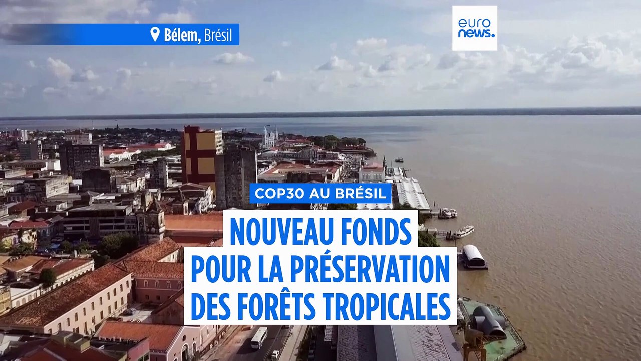 J-30 avant la COP30 : création d'un nouveau fonds pour la préservation des forêts