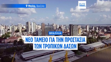 Βραζιλία: Έκκληση για στήριξη του Ταμείου «Tropical Forests Forever» ενόψει της COP30 στο Μπελέμ