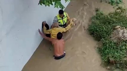 Veracruz: Adulto mayor es rescatado junto a sus 13 perros en inundaciones en Álamo