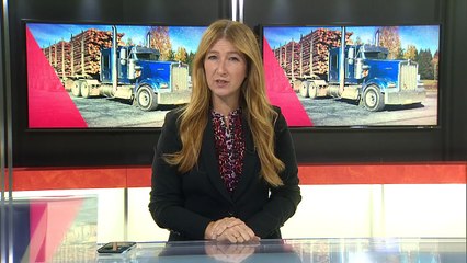 TVA Nouvelles CIMT 12h 10 octobre 2025