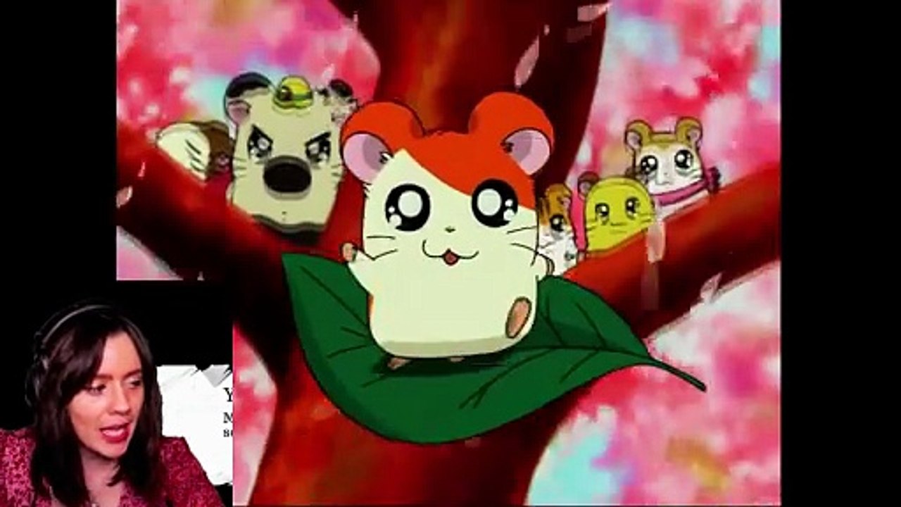 hamtaro