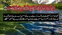 Surah Al-Munafiqun | سورة المنافقون | Chapter 63 Holy Quran Recitation Hafiz Aziz Alili