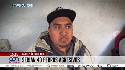 Mujer es atacada por jauría de perros en Ixtapaluca, Estado de México