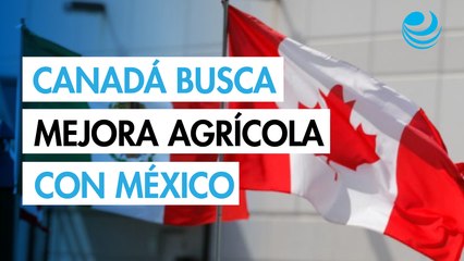 Canadá busca fortalecer la cooperación agrícola con México en visita ministerial