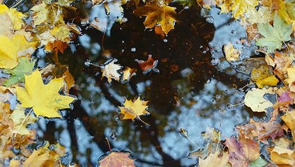 Призраки Арбата 2 серия.