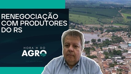 Linha de crédito revê pagamentos de dívidas rurais de produtores impactados pelo clima | HORA H