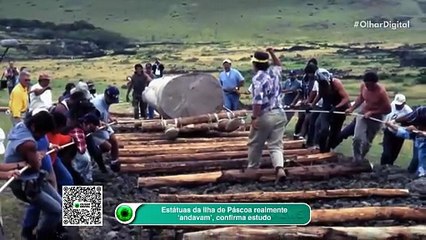 Estátuas da Ilha de Páscoa realmente ‘andavam’, confirma estudo
