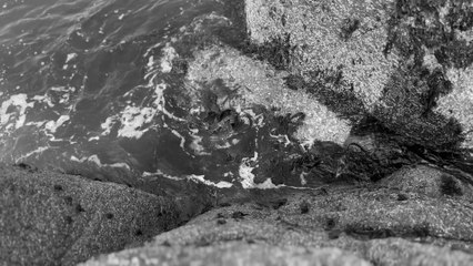 Whats is this please | movie | 2024 | Official Trailer