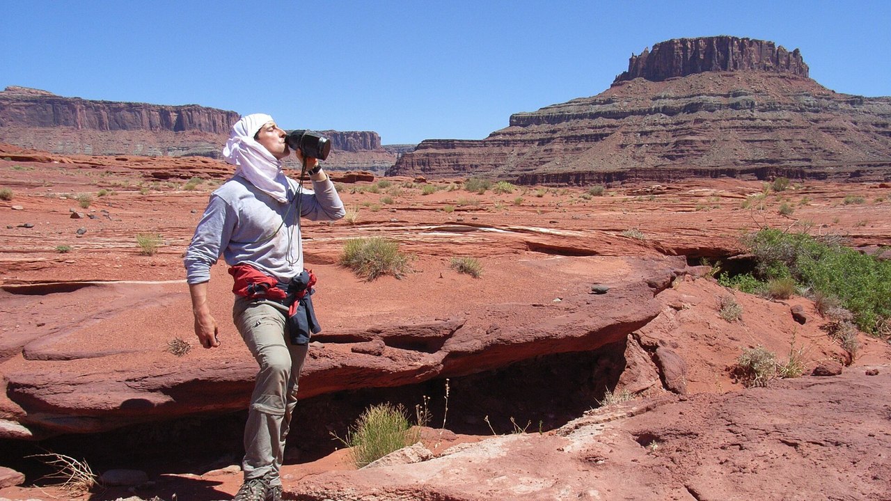 Man vs Wild : seul face à la nature