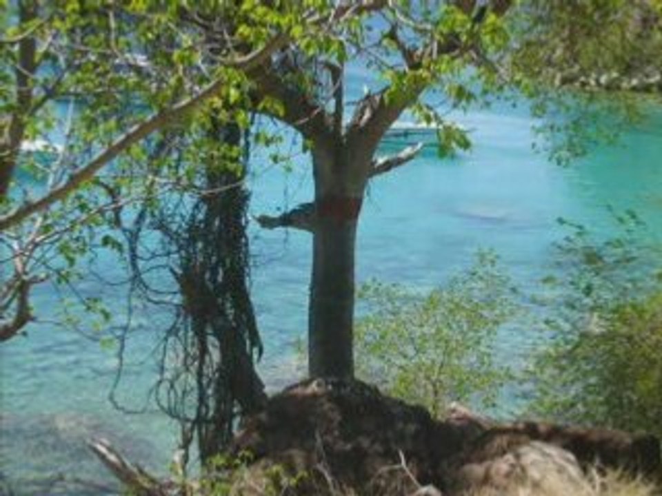 Video guadeloupe_0002
