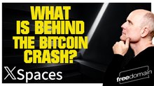 WHAT IS BEHIND THE BITCOIN CRASH?!?