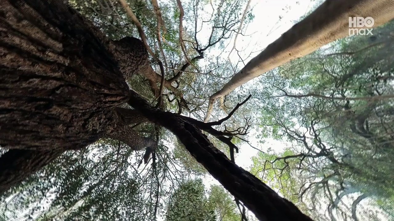One Day In October