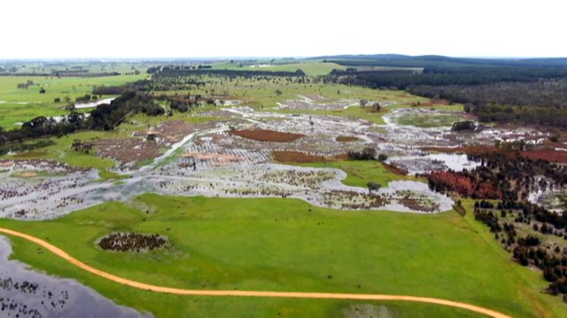Mount Burr Swamp thriving after rehabilitation from farmland