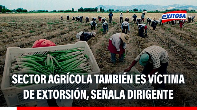 Gremios agrarios también son víctimas de extorsión: Entran a robar, atacan a trabajadores