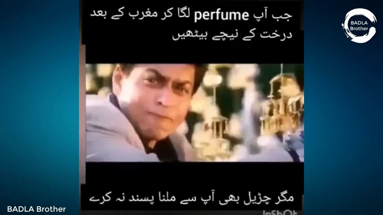 Randomly Funny And Stupid Videos - Episode 1