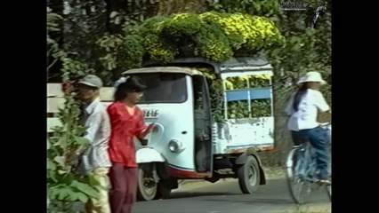 Đình Văn, Tài Linh - Đêm cắm câu [OFFICIAL MV] [4K HD REMASTERED]