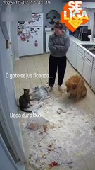 EU FALEI PRA ELE NÃO FAZER , MAS ELE FEZ !!!