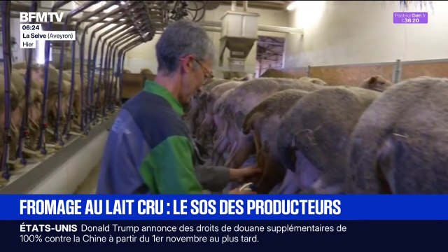 Fromages au lait cru: le SOS des producteurs face aux normes imposées