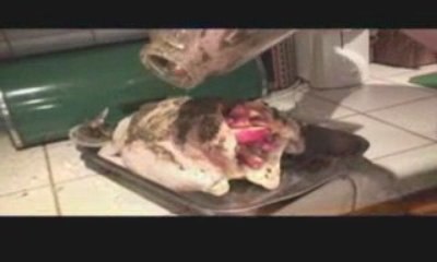 Evil Auntie Roasts Aphrodisiac Chicken