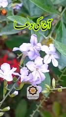 Aaj Ke Dua  subhanullah