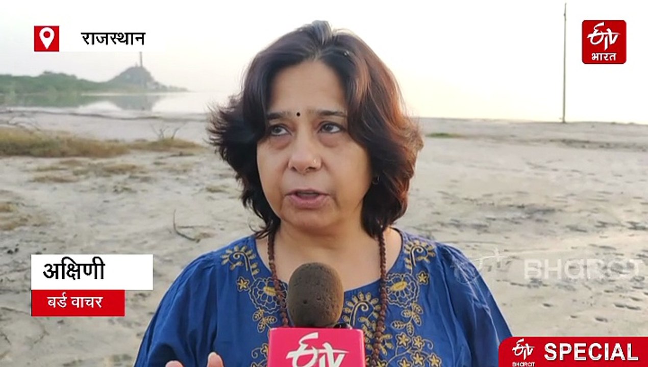विश्व प्रवासी पक्षी दिवस : सांभर वेटलैंड को 'संरक्षित बर्ड साइटिंग साइट' का दर्जा देने की मांग, पक्षी प्रेमियों ने की ये अपील