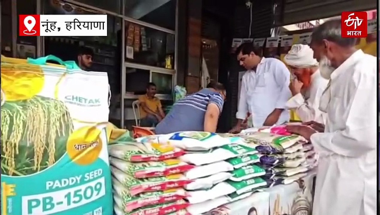 मेवात में खाद की कालाबाजारी! किसानों का आरोप- "प्राइवेट दुकानदार वसूल रहे मोटी रकम, सरकारी केंद्रों पर डीएपी उपलब्ध नहीं"