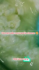 Homemade mozzarella cheese how to make perfect mozzarella cheese at home