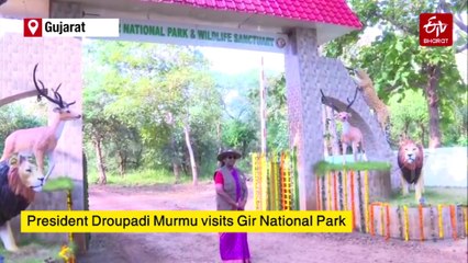 President Murmu To Offer Prayers At Dwarkadhish Temple, Attend Gujarat Vidyapith Convocation Today