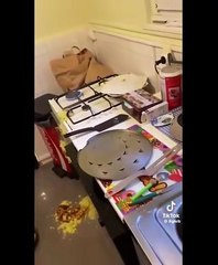 Culinary Enthusiasts' Funny Day! 🍳