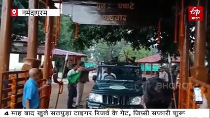 सतपुड़ा टाइगर रिजर्व गुलजार, सुबह 6 बजे से ही जिप्सी सफारी के लिए बेकरार दिखे पर्यटक