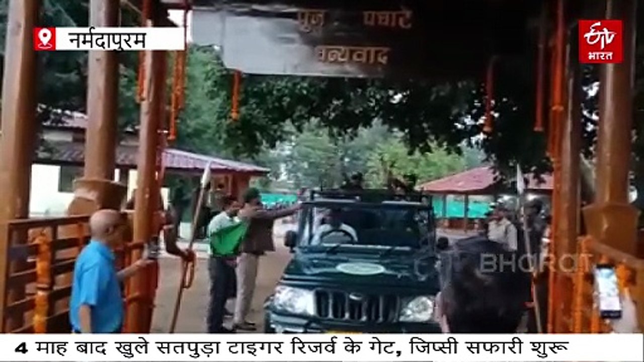 सतपुड़ा टाइगर रिजर्व गुलजार, सुबह 6 बजे से ही जिप्सी सफारी के लिए बेकरार दिखे पर्यटक