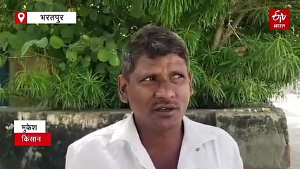 अब खेतों में उगेगा शहद! किसानों के खाते में आएंगे 80000 रुपए, संभाग के 11550 किसान होंगे लाभान्वित