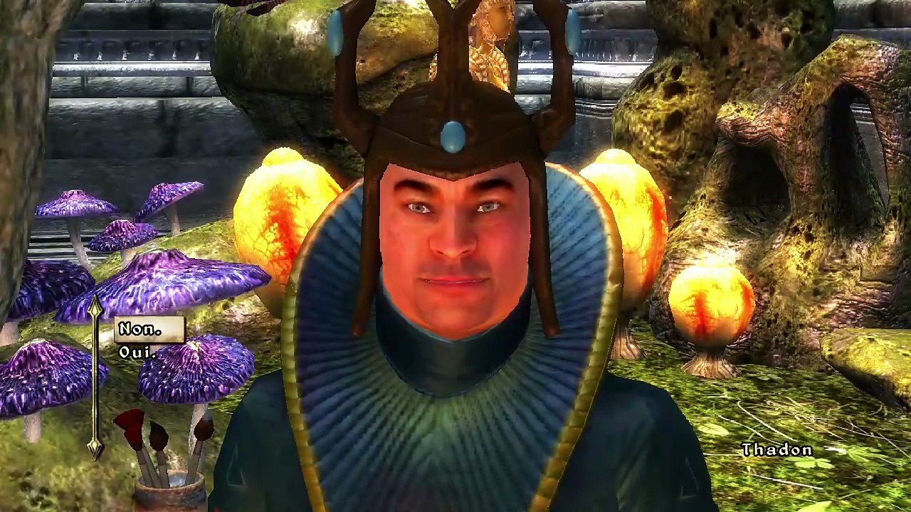 The Elder Scrolls IV: Oblivion - Game of the Year Edition online multiplayer - ps3