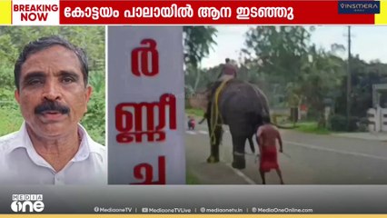 പാലായിൽ ആന ഇടഞ്ഞു; വീടുകളുടെ മുറ്റത്ത് ഓടിക്കയറിയ ആന കാറുകളടക്കം നിരവധി സാധനങ്ങൾ നശിപ്പിച്ചു