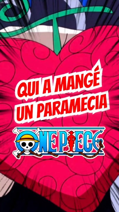 Cite moi des personnages qui ont mangé un paramecia dans ONE PIECE