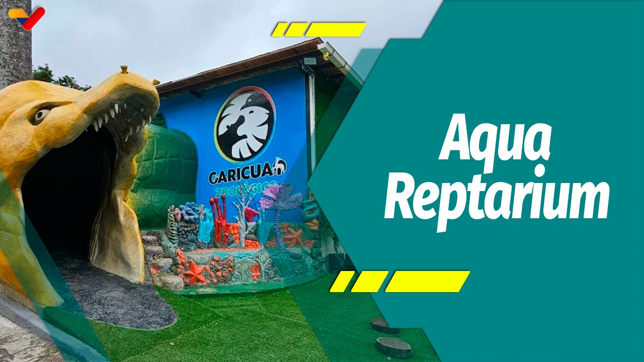 Punto Verde I Terrario Aqua Reptarium: Sinónimo de conservación y cuidado ambiental