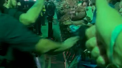 Moment Billie Eilish yanked as she greets fans at barricade