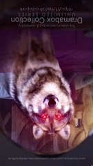 Fated to Miss The Luna in His Dreams Full Movie HD