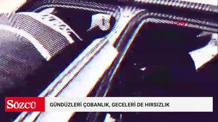 Gündüzleri çobanlık, geceleri de hırsızlık yapıyorlardı