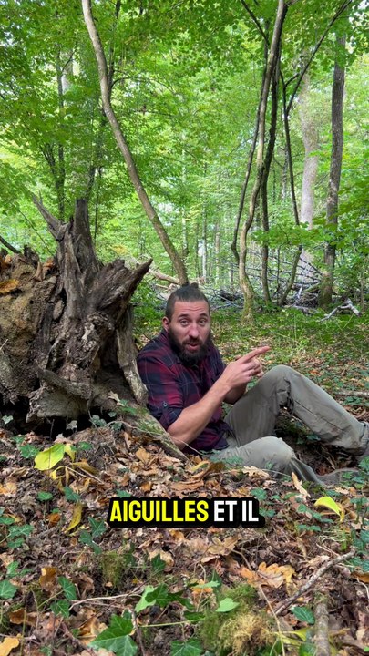 Le médaillon du nord, jimwoood, boussole, bushcraft, survie, nord, rando