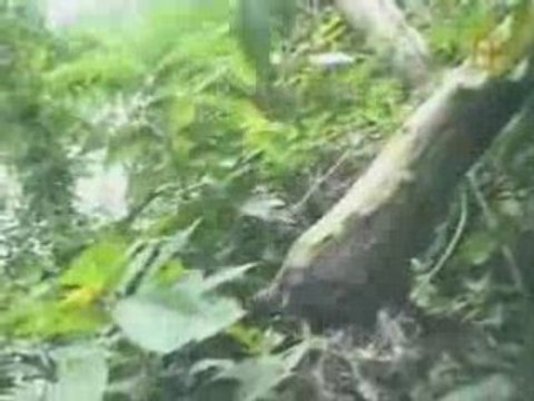 Misterios de la Arqueología: El Dorado 3 de 3