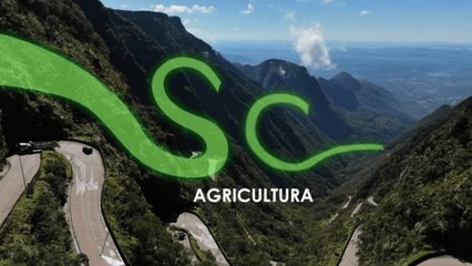 Confira a íntegra do programa SC Agricultura deste sábado (11)!