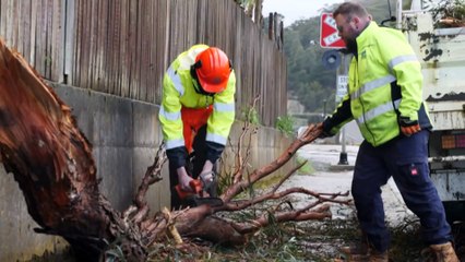 Two dead and thousands without power as strong winds hit Tasmania