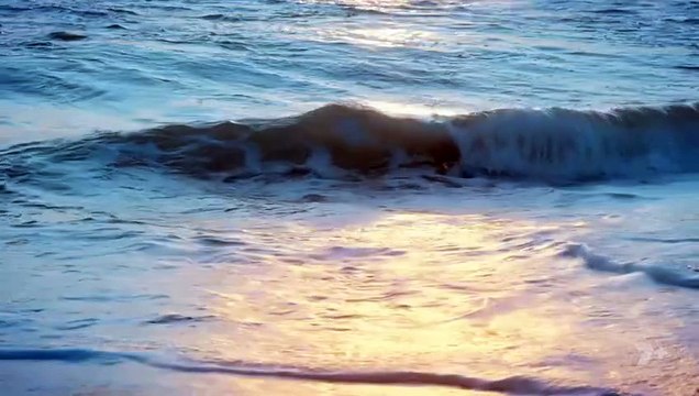 Home and Away 8599 9th October 2025