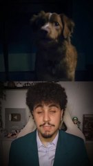 Good Boy, le film d'horreur du point de vue du chien 🐾🐶