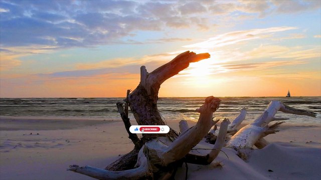 Waves of Serenity – Calm Ocean Piano