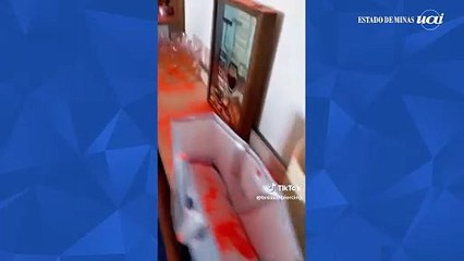 Mulher se vinga de traição jogando 7 kg de glitter no carro do ex